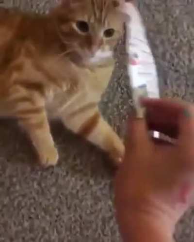 Look it’s you!