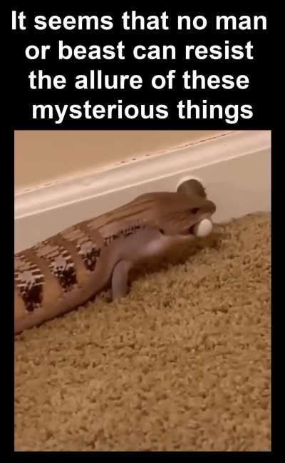 Hypnotic & Irresistible