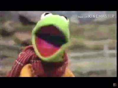 kermit dies from a bike accident