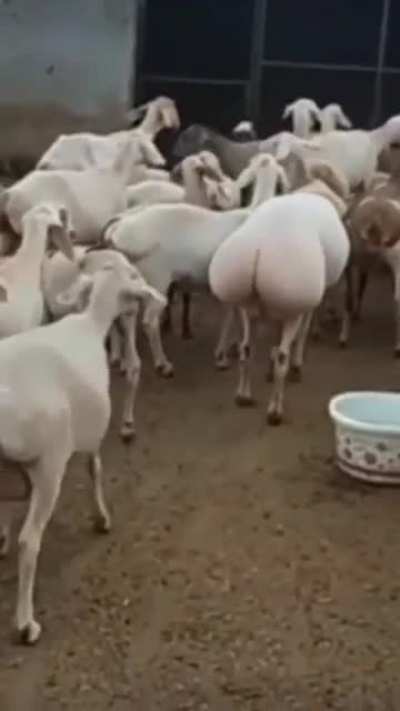 Hmmm