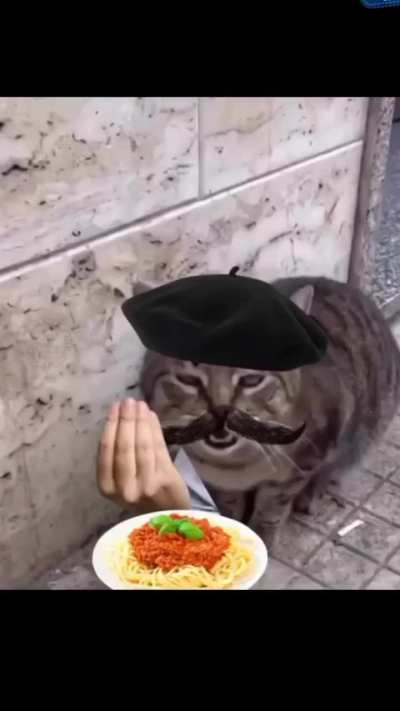 O: