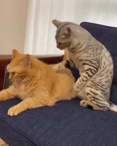 One little bite