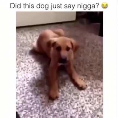 NOOOOO perrubi no digas la N Word que le cierran el canal al orson 😫😫