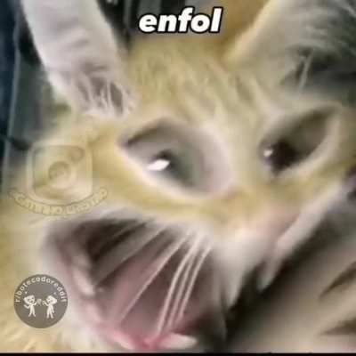 😂