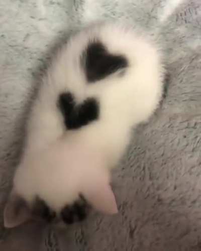 You're my heart