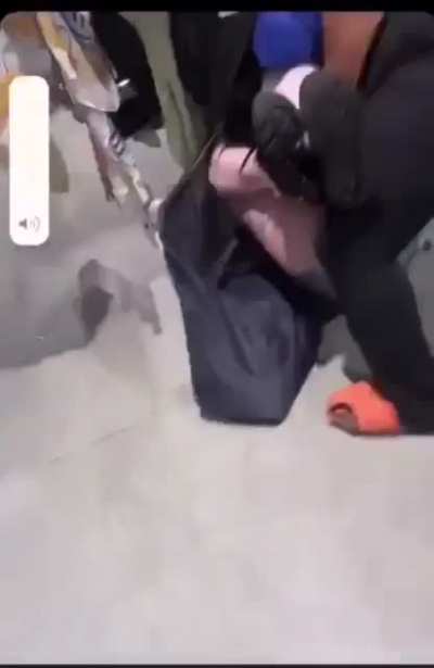 Shitty fight