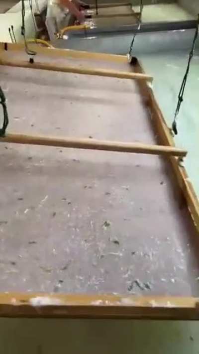 How Washi paper is made
