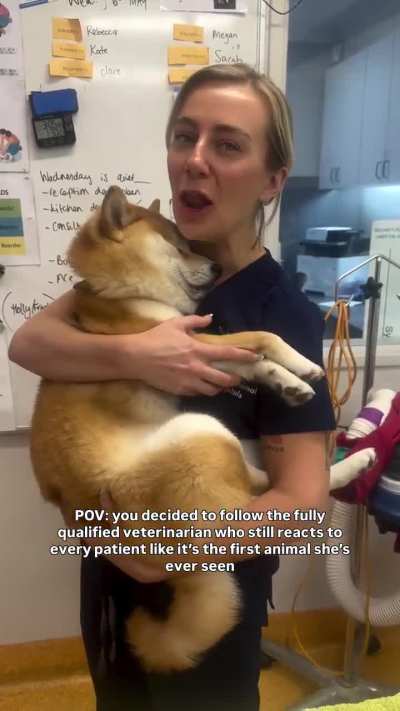 A vet who still reacts to every animal like it’s the first she’s seen