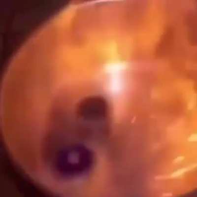 Beyblades To The Extreme
