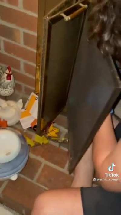 Rescuing a squirrel that got trapped in the fireplace