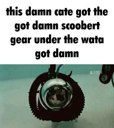 Damn