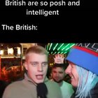I couldn’t stop laughing at this for 10 minutes. The noise...