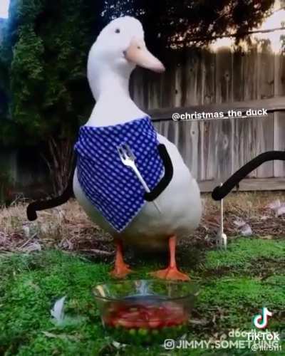 Опасный гусь)