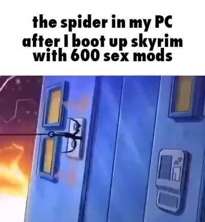 Spider Rule