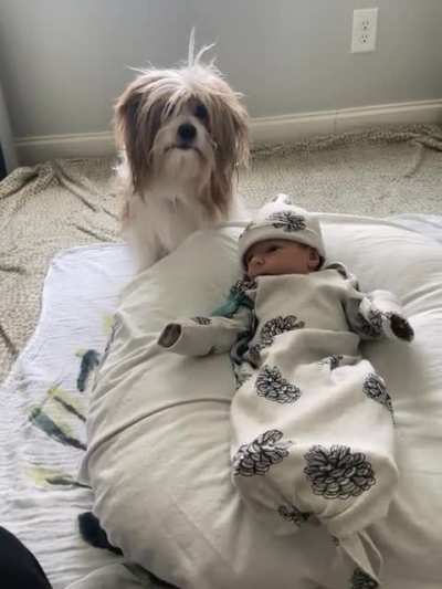 My dog and the baby having a photo shoot