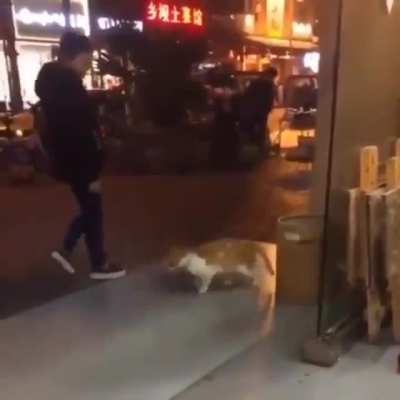 Smooth catwalk