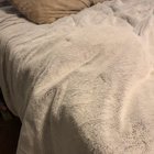 Blankets who trill?