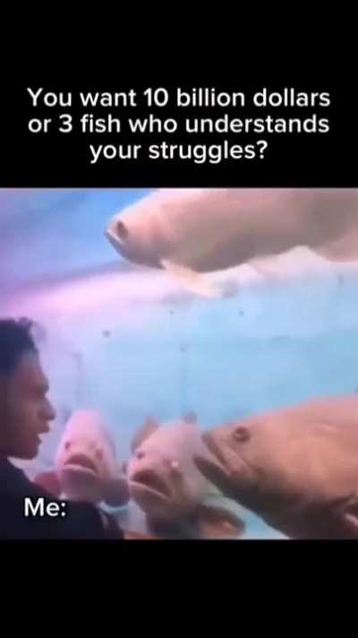 Fish