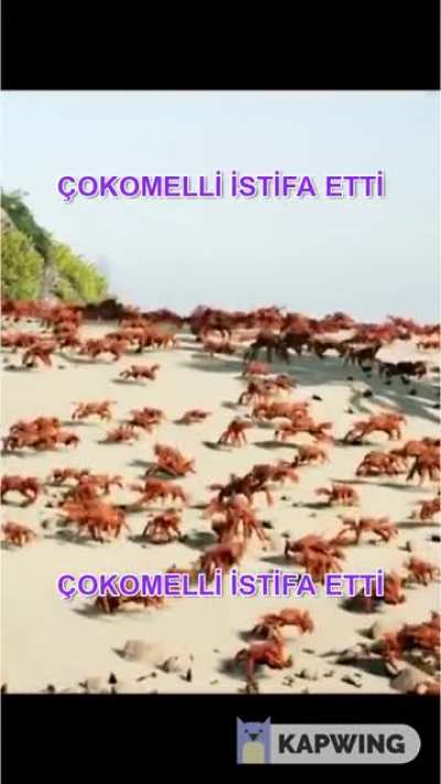 Kötü günleri atlattık sırada daha kötü günler var...