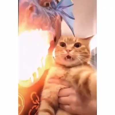 where did he go