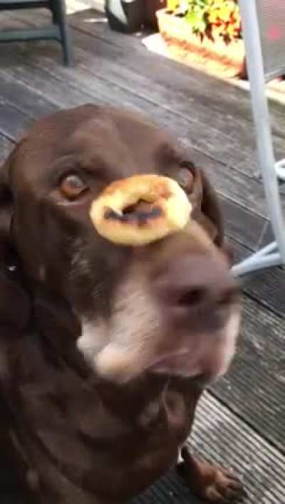 Split second moove