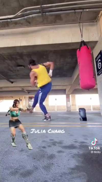 Various Tekken Characters moves IRL
