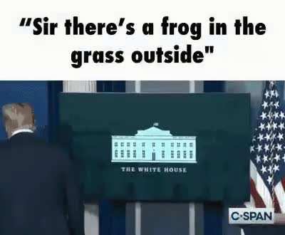 Froggi