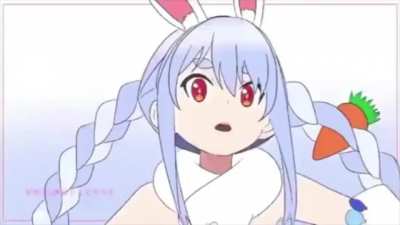 Kon-Peko'd