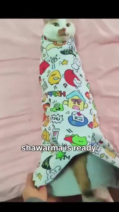 Wrapped and ready!
