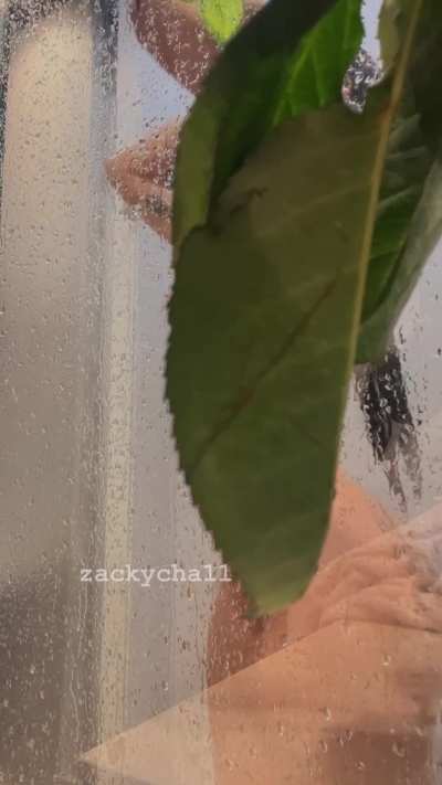 Sneak Peak From My Shower [OC]