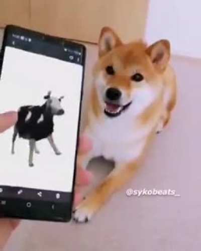 пенис