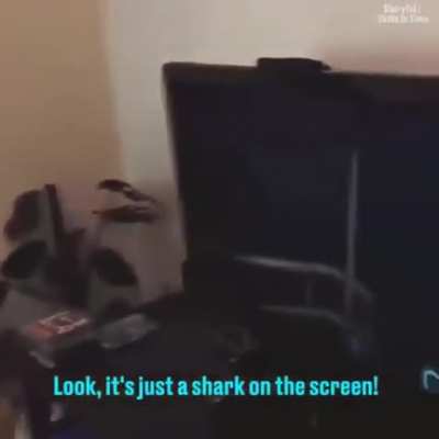 Kk
