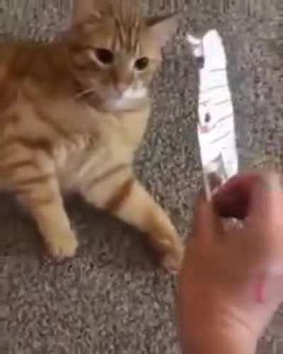 CPTSDFightMode