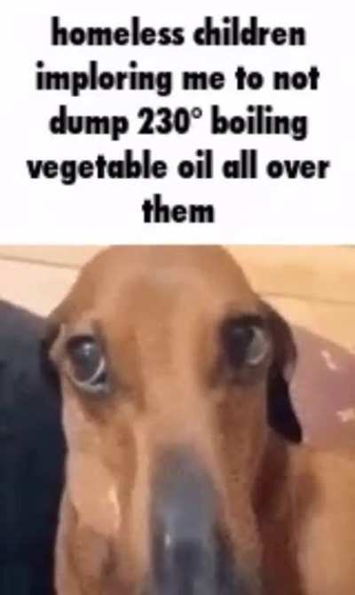plz no
