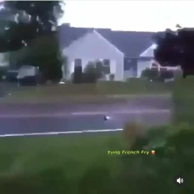 :========D