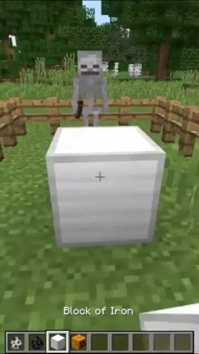 Iron Golem has priorities.