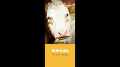 peta suc