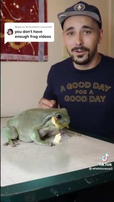 Absolute Unit of a Frog 🐸