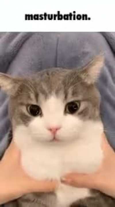 😺