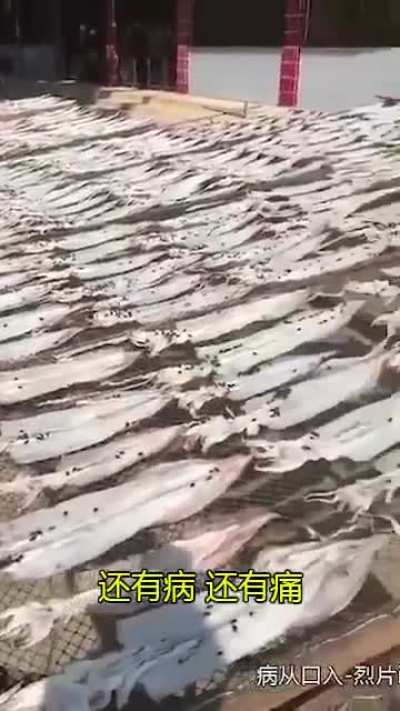 cursed_China