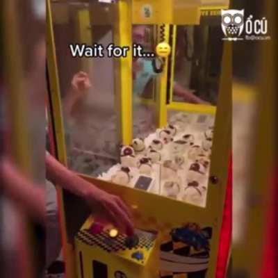 never trust the crane machine