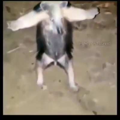 T posing god