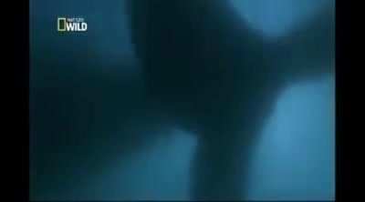 A sua mãe 😳😳