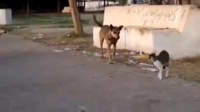Un vio