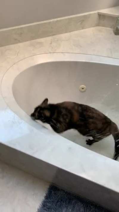 Khajiit makes a terrible mistake