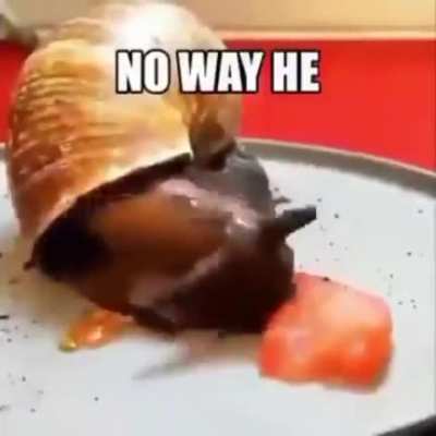 rule