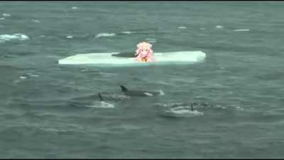 Leaked footage: Real reason why nene took a break from streaming.