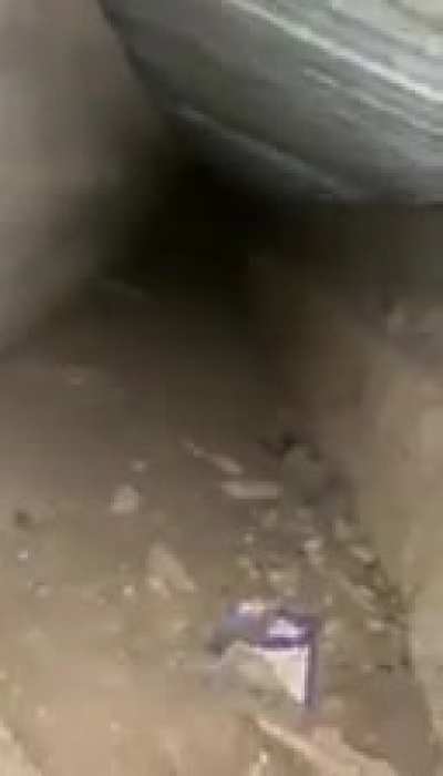 We explored a tunnel in a abandoned restaurant