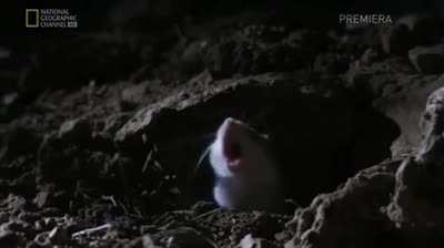 AAAAAAAAAAAA