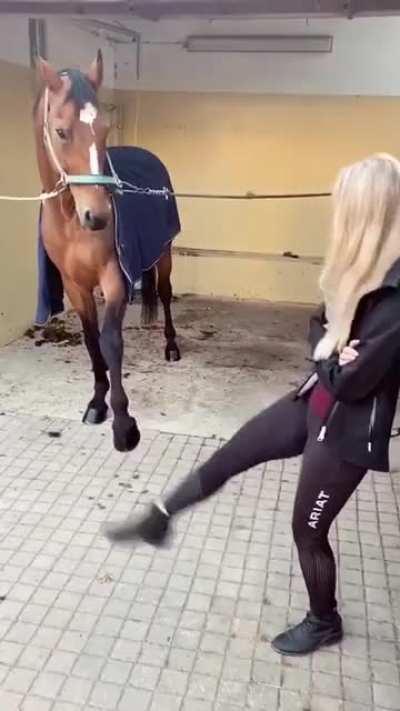 Забав<wbr>ная лошадка